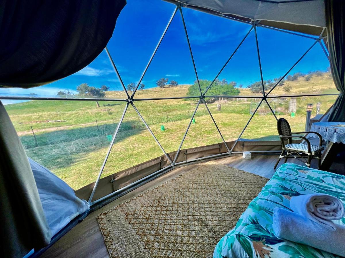 Hillview Farmstay Ґандаґай Екстер'єр фото