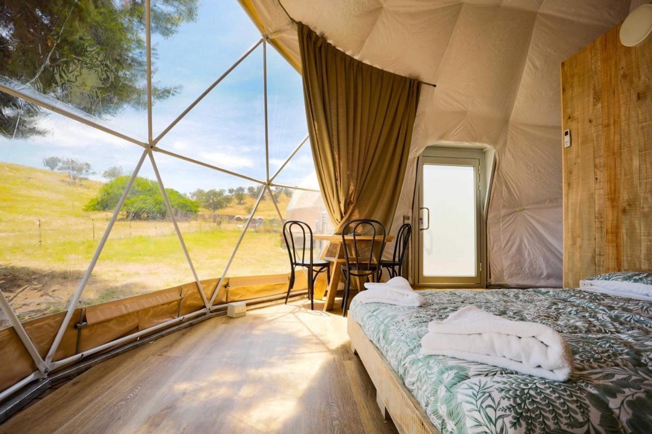 Hillview Farmstay Ґандаґай Екстер'єр фото