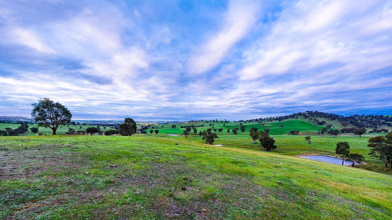 Hillview Farmstay Ґандаґай Екстер'єр фото