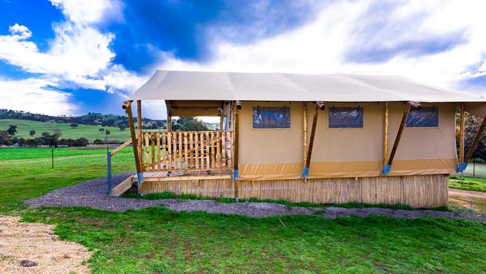 Hillview Farmstay Ґандаґай Екстер'єр фото